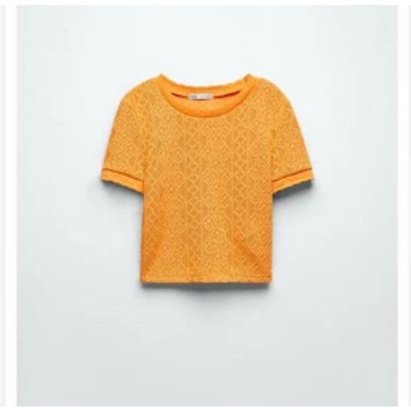NWT ZARA Tangerine Crochet Scallop Trim Top Tshirt Sz S - Picture 10 of 10